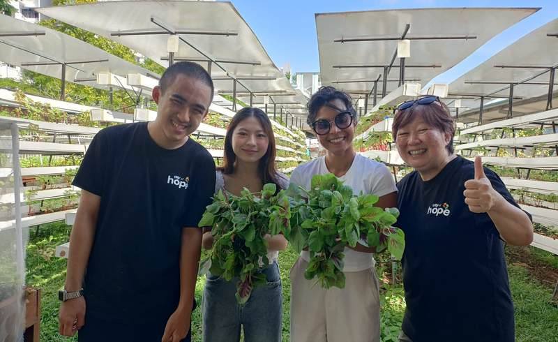 Youths and volunteers harvesting at the community garden